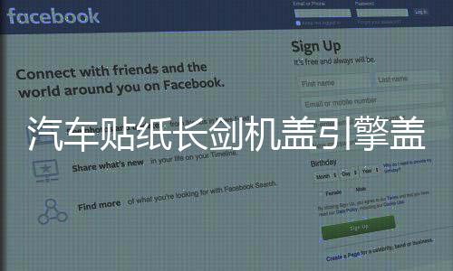 汽车贴纸长剑机盖引擎盖头盖后挡风玻璃个性装饰车贴遮挡划痕拉花