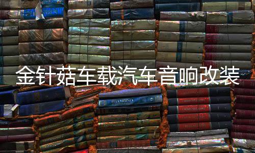 金针菇车载汽车音响改装套装喇叭扬声器6.5寸重低音同轴喇叭高音