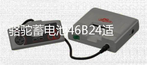 骆驼蓄电池46B24适配起亚K2现代瑞纳瑞奕雅绅特12V45ah汽车电瓶