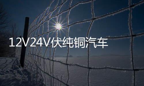 12V24V伏纯铜汽车电瓶充电器通用智能大功率农用车收割电瓶充电机